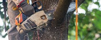 Soil Testing and Treatment in Loganville, PA