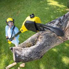 Best Stump Grinding and Removal  in Loganville, PA